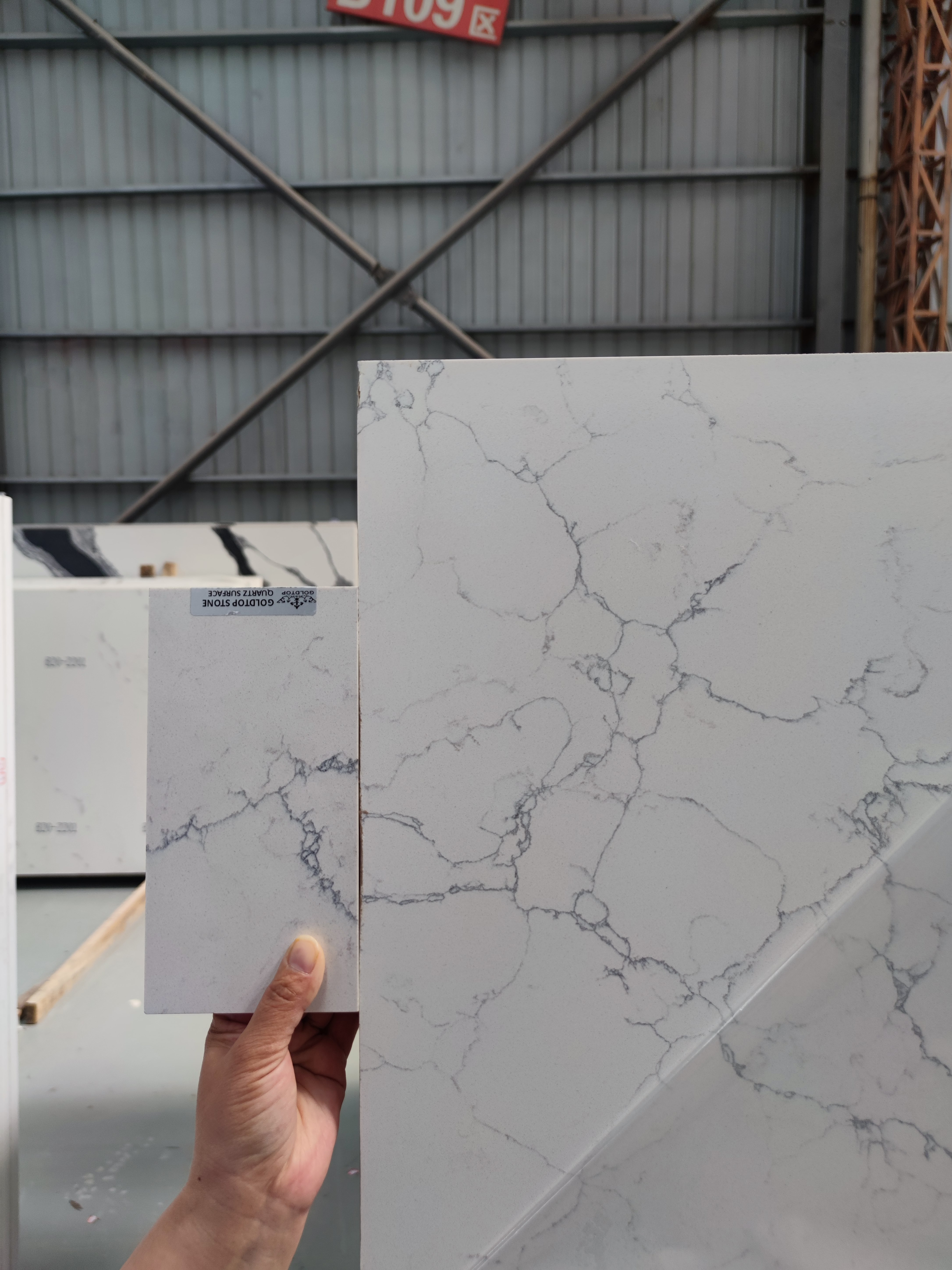 5021 Alasky Quartz Slabs