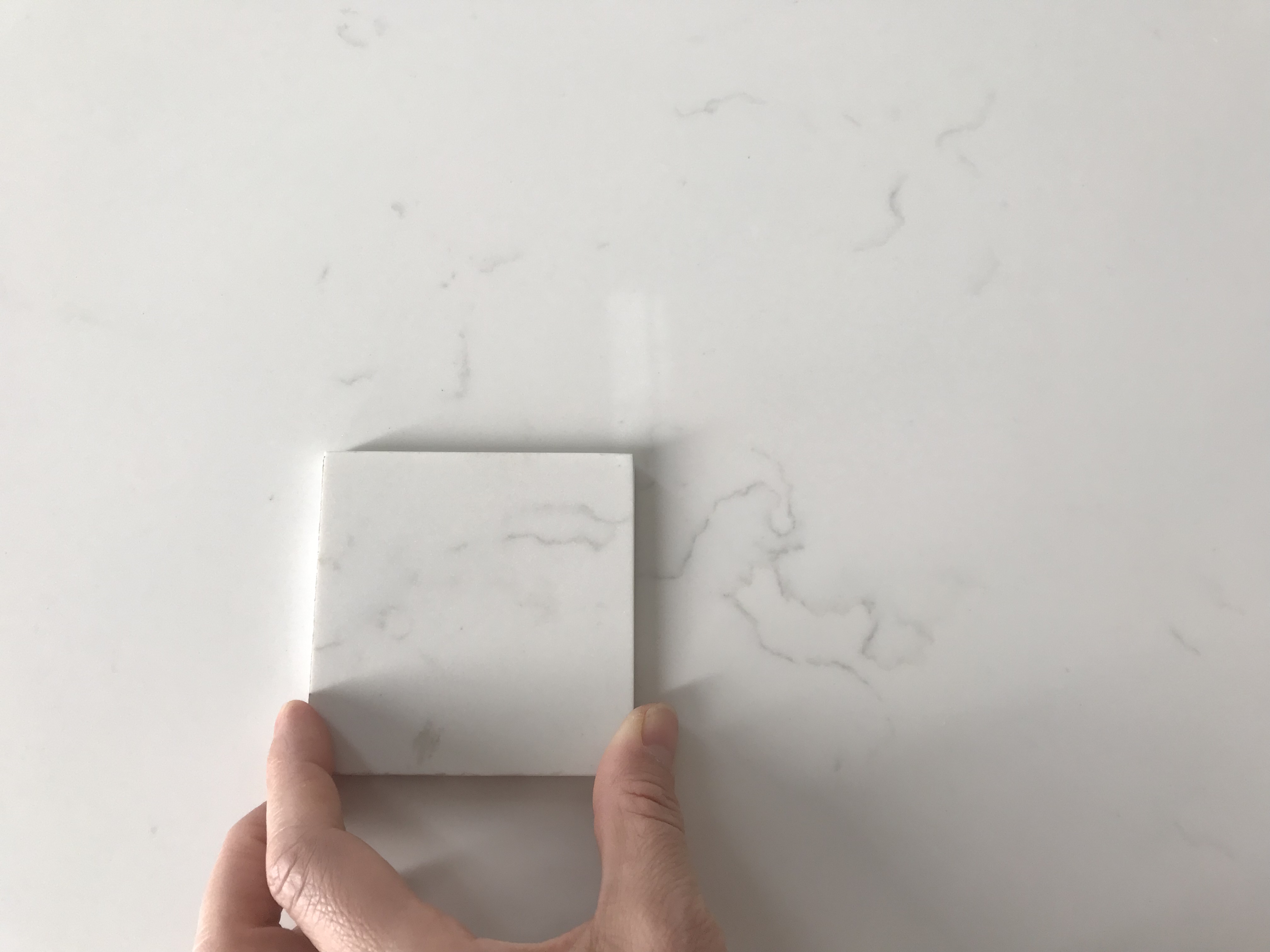 5021 Alasky Quartz Slabs