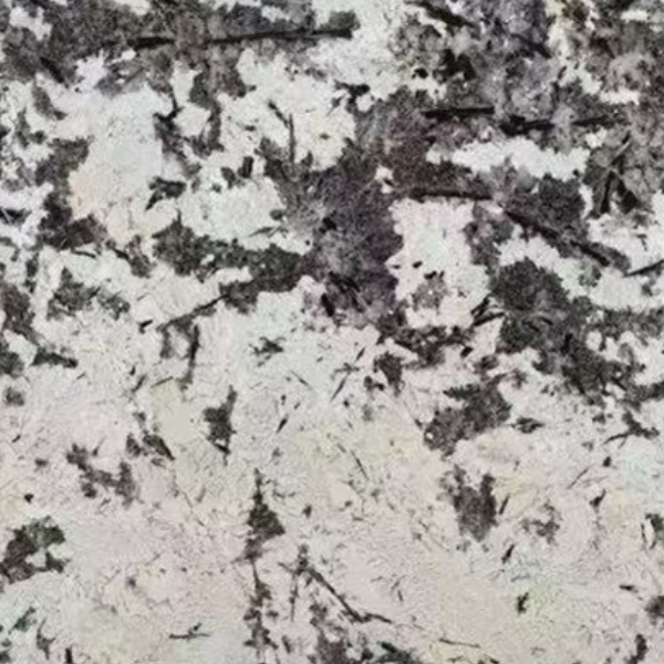 Снежный горный сапфир